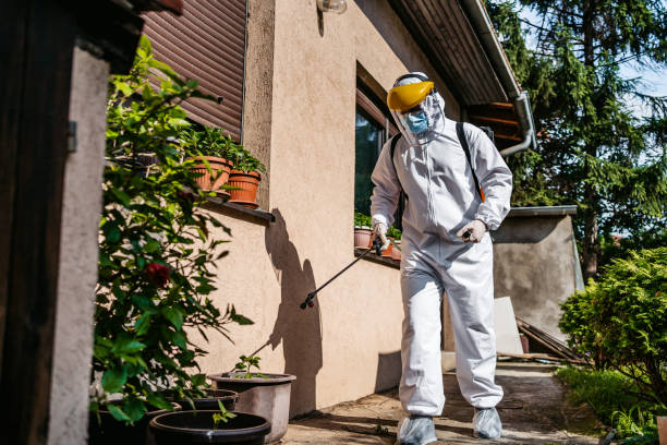 Trusted South Lake Tahoe, CA Pest Control Experts