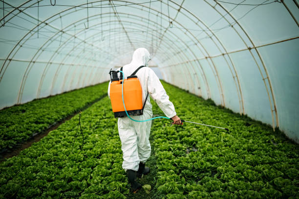 Best Pest Prevention Services  in South Lake Tahoe, CA
