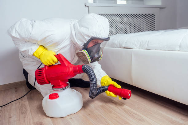 Best Wasp Removal Services  in South Lake Tahoe, CA