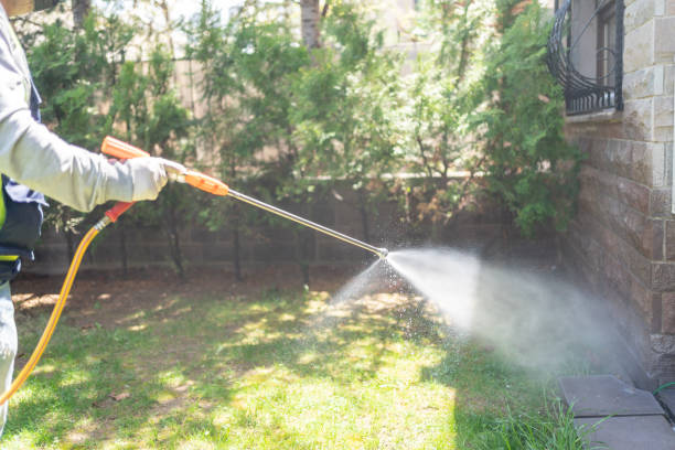 Professional Pest Control in South Lake Tahoe, CA