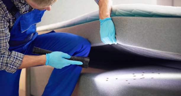 Best Mosquito Control Services  in South Lake Tahoe, CA