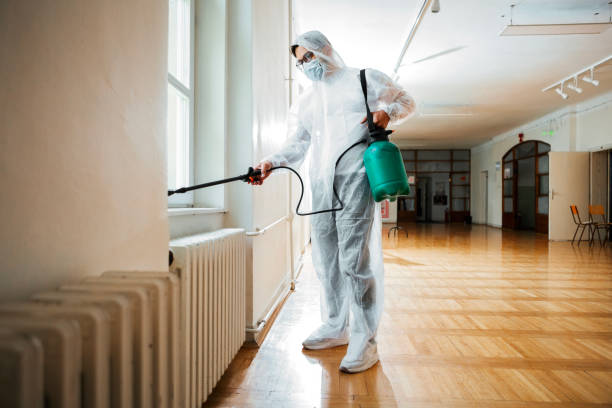 Best Best Pest Control Companies  in South Lake Tahoe, CA